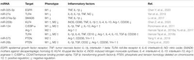 Epigenetic Regulations of Microglia/Macrophage Polarization in Ischemic Stroke